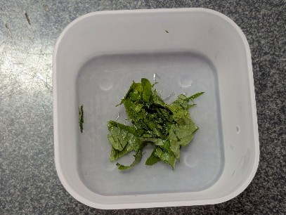 大葉を細かく刻む